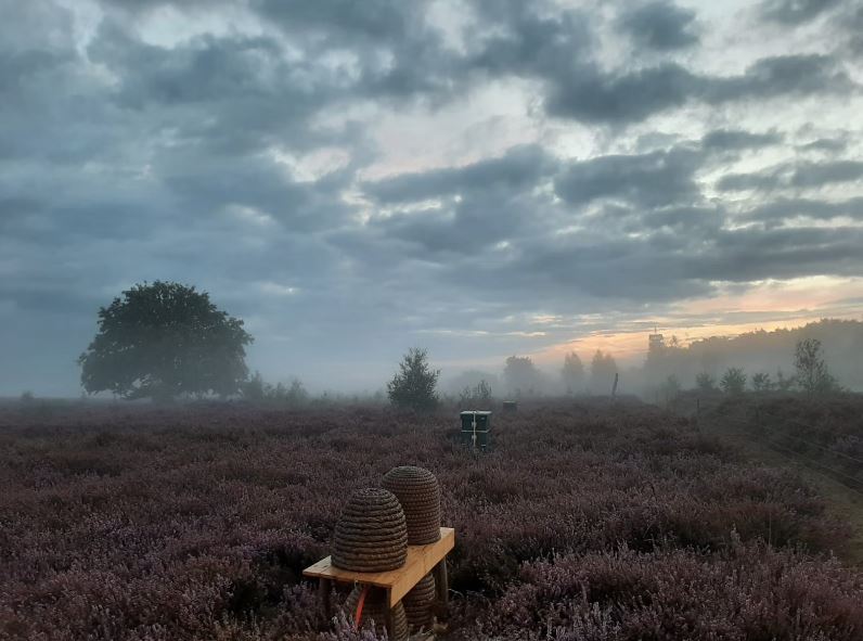 Imkers op de Heide