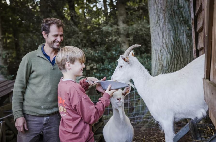 Belevingstocht door Erfgoedhof Ferme NeElke