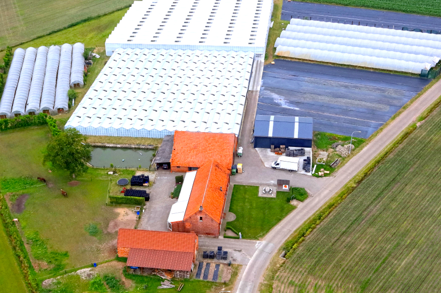 Rondleidingen (Beestig Goe Geamuseerd)