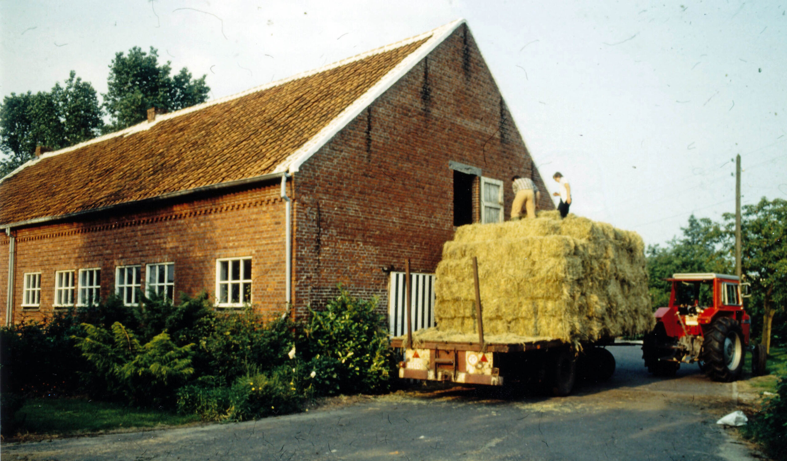 Beestig leven op de hoeve Sels