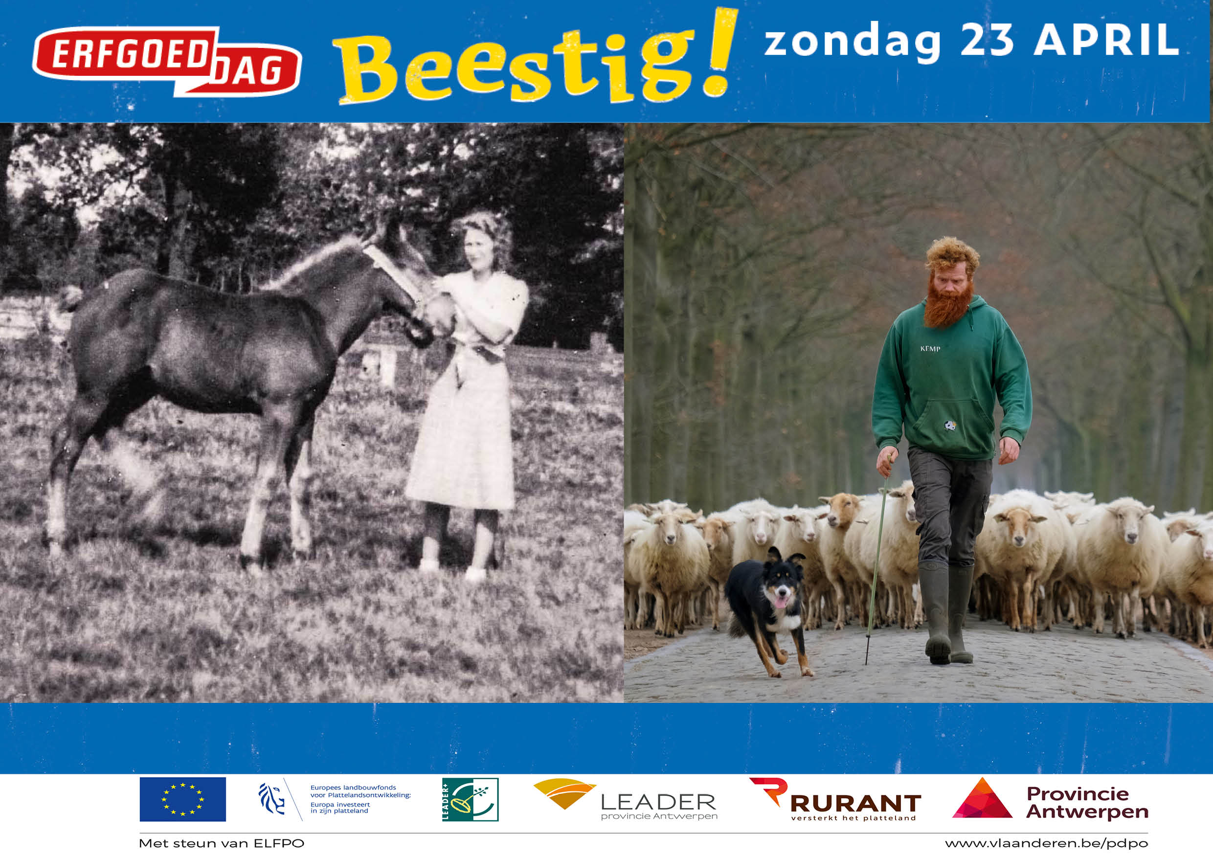 Koning in de Kempen