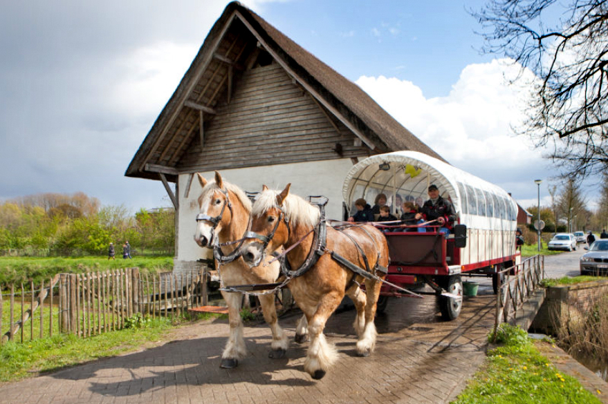  Met de huifkar naar de Laermolen (Beestig Goe Geamuseerd) 