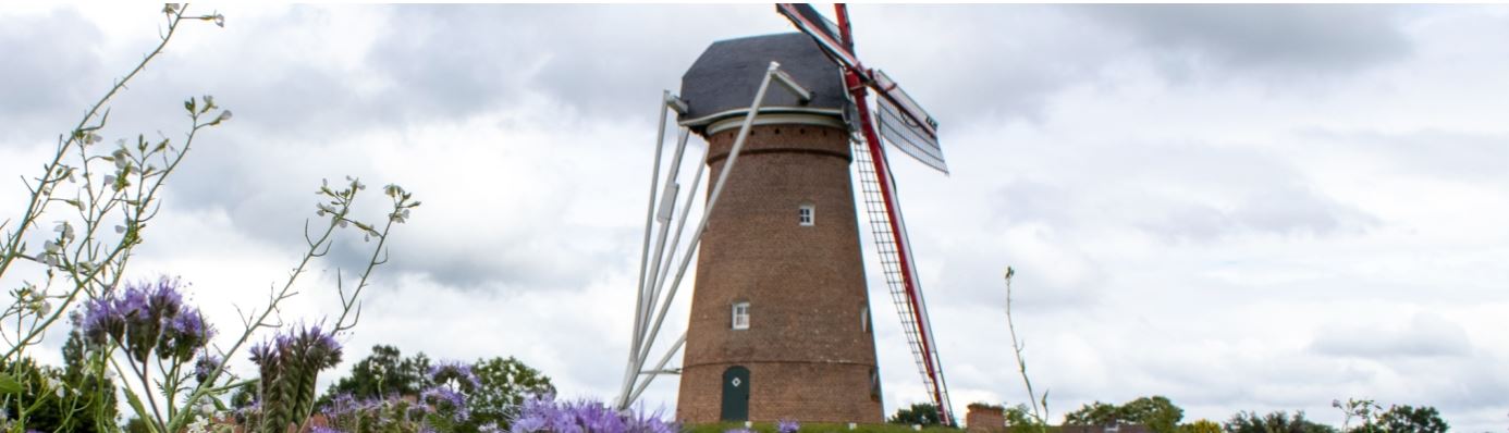 Landbouw doorheen de tijd aan de molen van Pulderbos