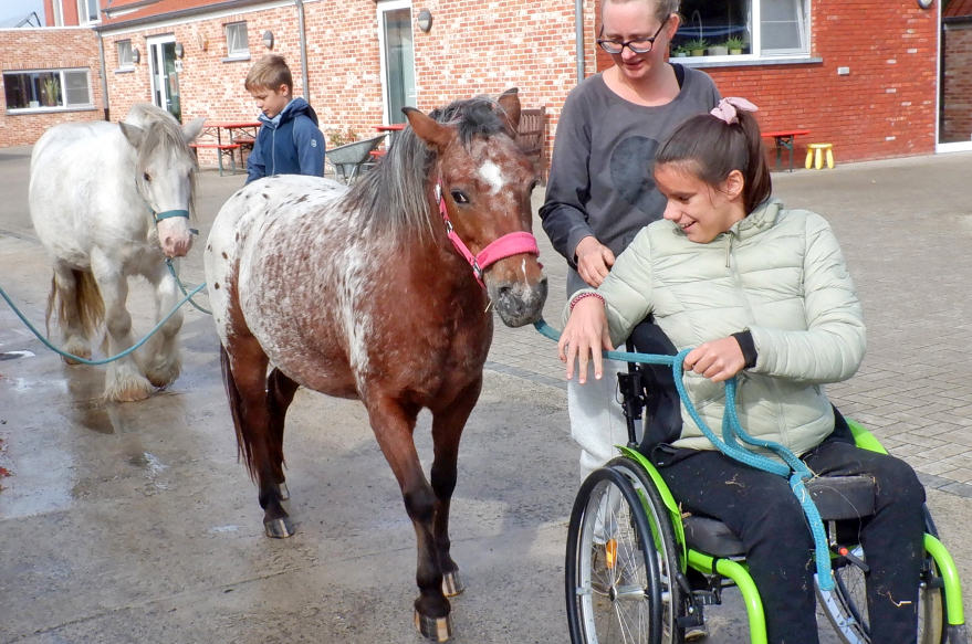 Hoeve Megusta (Beestig Goe Geamuseerd)