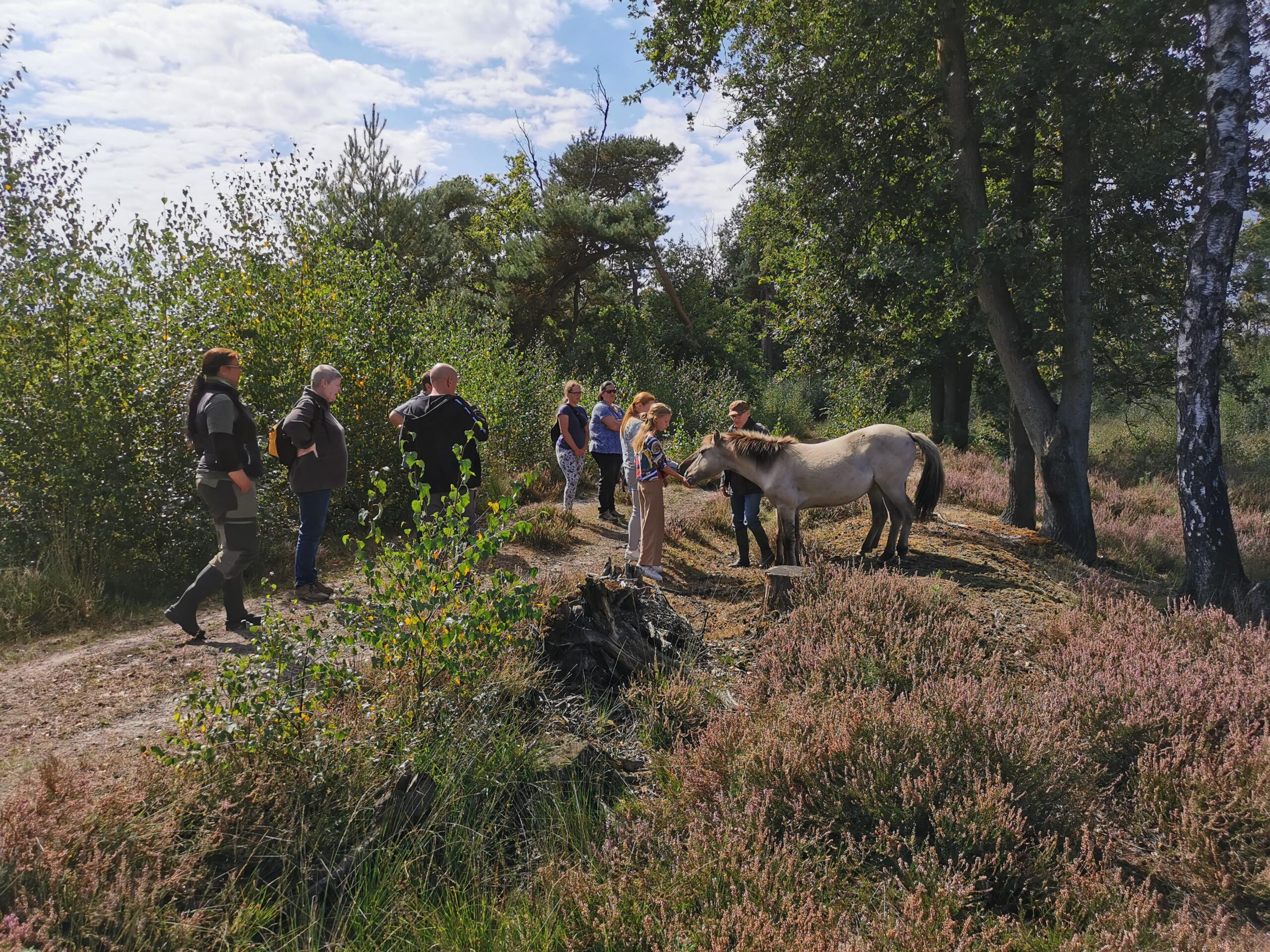 Beestige Erfgoeddag in Landschap De Liereman