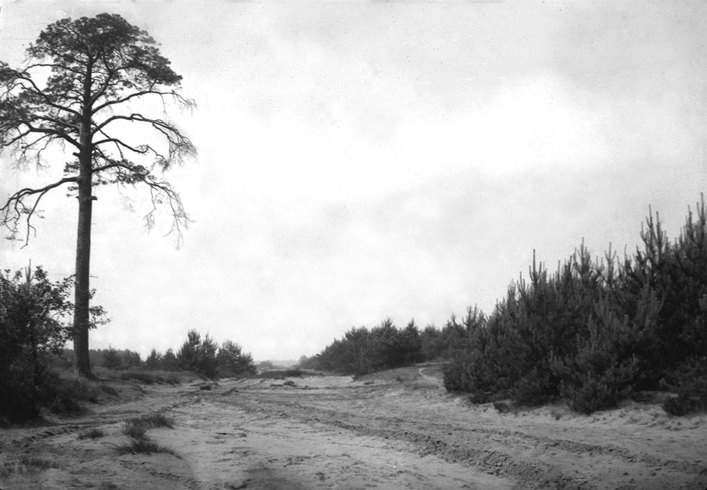 De Kesselse Heide: wandelen door het verleden