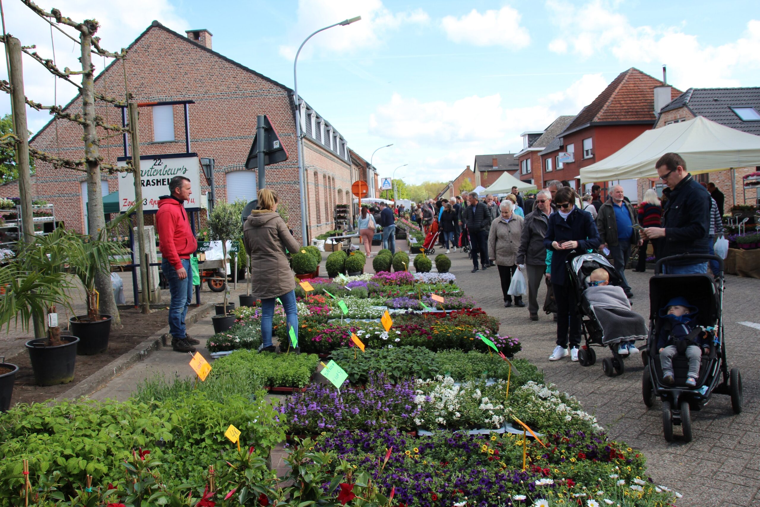 Expo & zoektocht 25 jaar plantenbeurs