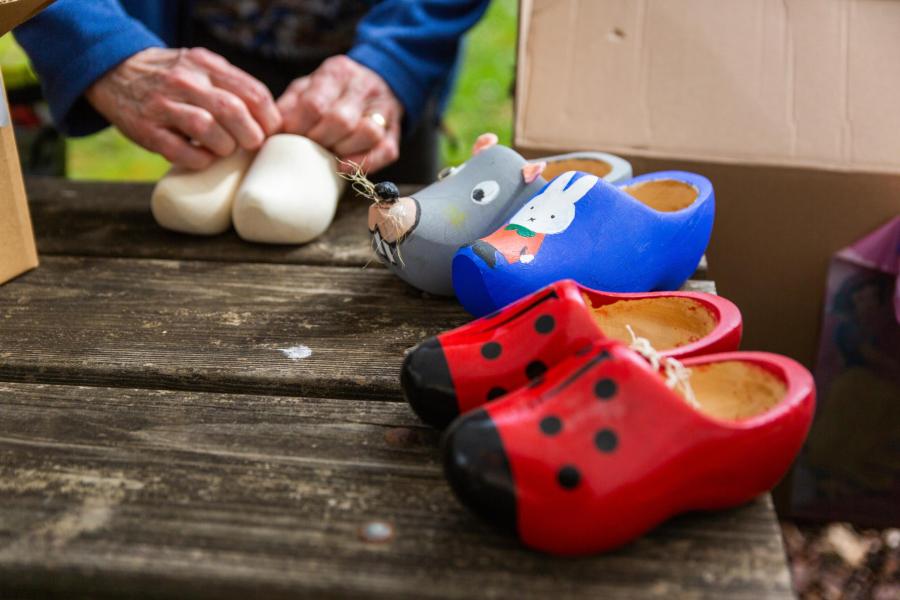 De magische Klompen van Veerle