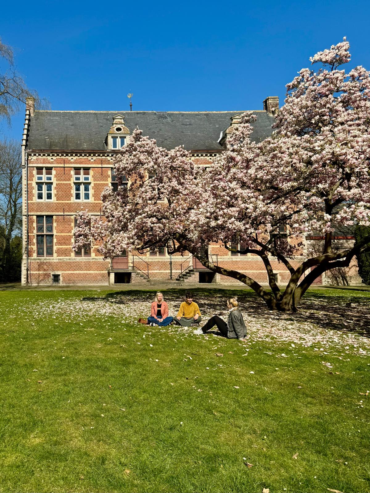 Open huis: Kasteel Hof d'Intere